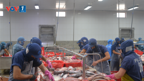 Nhiều cơ hội cho thủy sản Việt Nam tại thị trường Halal (13/12/2024)