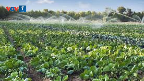 Sử dụng nước tiết kiệm giải pháp hữu ích cho sản xuất trong biến đổi khí hậu (21/12/2024)