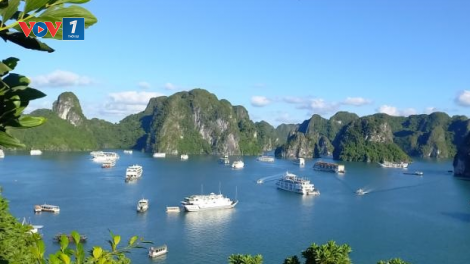 Hạ Long (Quảng Ninh) định hướng phát triển kinh tế xanh, kinh tế số, kinh tế di sản trong kỷ nguyên mới (26/12/2024)