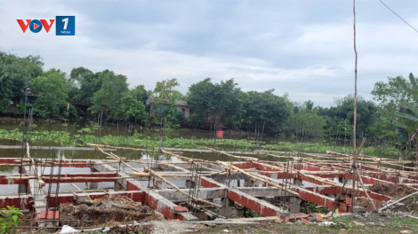 Tiền Giang: Báo động tình trạng xây nhà, cơ sở kinh doanh trái phép ven kênh 28 (14/12/2024)