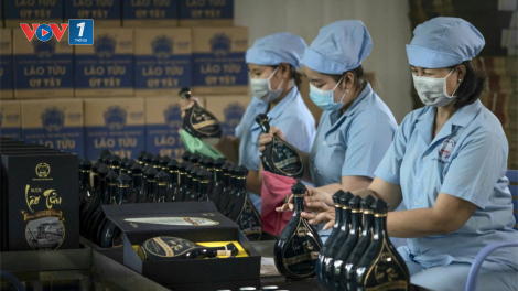 Hậu Giang: Hơn 981 tỉ đồng dự trữ hàng hóa và bình ổn thị trường dịp Tết (31/12/2024)