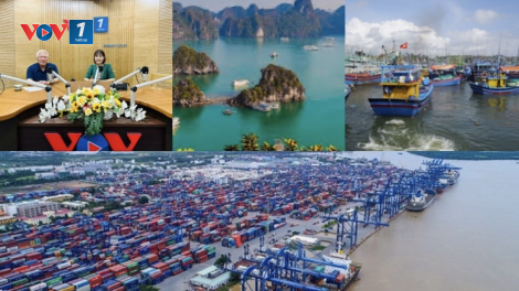 Giàu lên từ biển xanh (11/02/2024)
