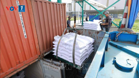 THỜI SỰ 6H SÁNG 05/2/2024: 7 doanh nghiệp Việt trúng thầu 300 nghìn tấn gạo xuất sang Indonesia