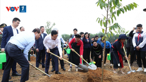 THỜI SỰ 12H TRƯA 15/2/2024: Chủ tịch nước Võ Văn Thưởng phát động “Tết trồng cây đời đời nhớ ơn Bác Hồ” tại Tuyên Quang.