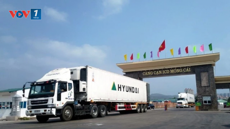 THỜI SỰ 6H SÁNG 19/2/2024: Xuất khẩu hơn 900 tấn hàng thủy sản và hoa quả qua lối mở thuộc Cửa khẩu quốc tế Móng Cái tỉnh Quảng Ninh trong ngày đầu thông quan trở lại sau kỳ nghỉ tết