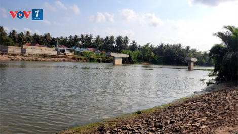 Hàng trăm héc ta hoa màu ở Tiền Giang có nguy cơ mất mùa do khô hạn (20/03/2024)