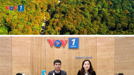 Tiềm năng thu 5.000 tỉ đồng từ bán tín chỉ các bon: nguồn lực lớn cho bảo vệ và phát triển rừng. (1/3/2024)