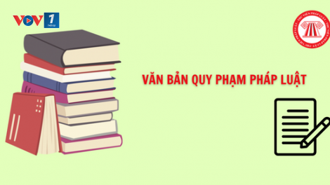 Khắc phục tình trạng luật phải… chờ văn bản hướng dẫn ( 01/03/2024)