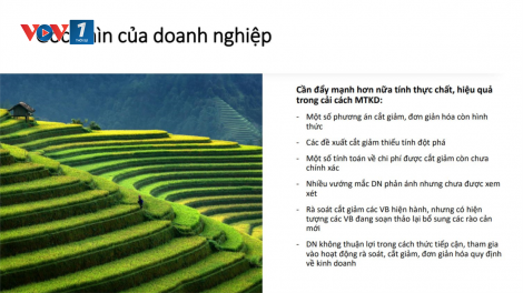 Cần đột phá về cải cách môi trường kinh doanh - thúc đẩy kinh tế Việt Nam (12/04/2024)