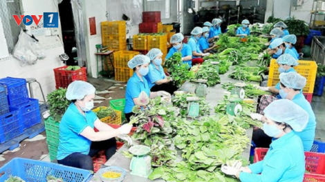 "Liên kết, hợp tác" xu hướng tất yếu trong sản xuất nông nghiệp và phát triển hợp tác xã (12/04/2024)