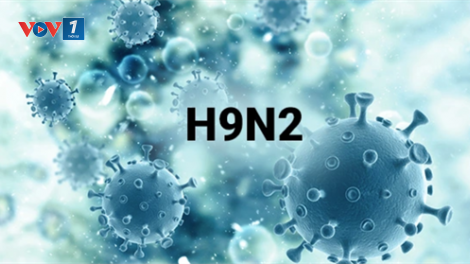 THỜI SỰ 6H SÁNG 7/4/2024: Viện Pasteur TP Hồ Chí Minh thông tin về trường hợp cúm A/H9N2 lần đầu tiên phát hiện tại Việt Nam