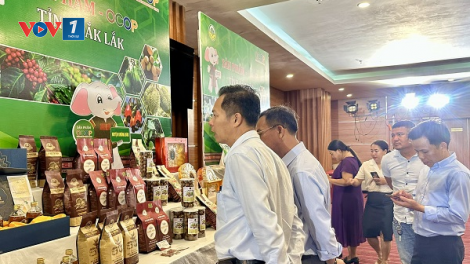 Sản phẩm OCOP Đắk Lắk từ ao làng vươn ra biển lớn (19/04/2024)