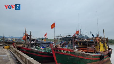 Hải Phòng - Chống đánh bắt bất hợp pháp, từ nhận thức đến hành động (03+04/04/2024)