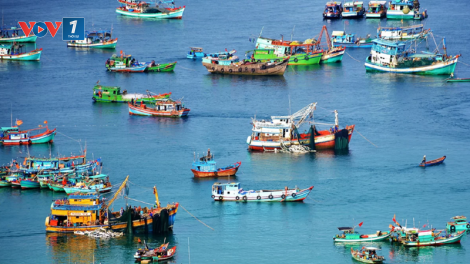 Cơ hội quyết định để gỡ thẻ vàng IUU cho ngành thuỷ sản (26/4/2024)