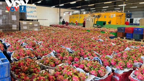 Đẩy mạnh xuất khẩu nông sản sang thị trường Trung Quốc. (20+21/04/2024)