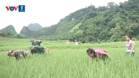 Biên phòng Thanh Hoá: Những mô hình thắm tình quân dân (01+02/06/2024)