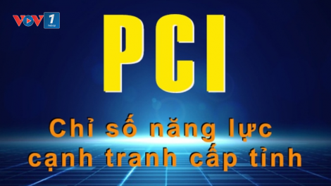 PCI: Chỉ số đóng góp đáng kể vào cải thiện môi trường đầu tư ở Việt Nam (09/05/2024)