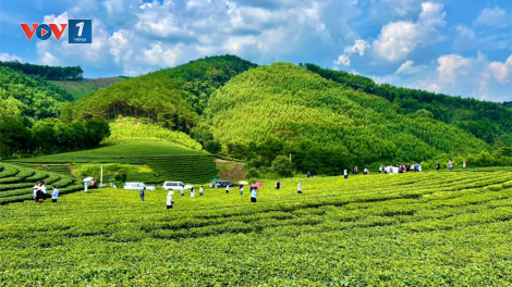 Đánh thức tiềm năng du lịch nông thôn ở Đình Lập, Lạng Sơn (29/05/2024)