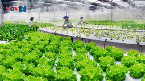 Công nghệ, chìa khóa giúp gia tăng giá trị nông sản (20/05/2024)