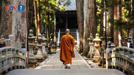 Tới núi Koya, Nhật Bản để tìm về sự tĩnh lặng trong tâm hồn (18/05/2024)