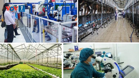 Để Khoa học công nghệ và Đổi mới sáng tạo trở thành động lực thúc đẩy phát triển kinh tế xã hội địa phương (20/5/2024)