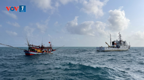 Tăng cường chống khai thác IUU ở vùng biển giáp ranh ( 24/04/2024)
