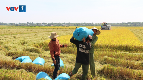 Tổ chức lại chuỗi sản xuất từ việc đẩy mạnh cơ giới hoá (18+19/05/2024)