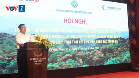 Tín chỉ các - bon rừng tiềm năng và lợi ích (14/05/2024)