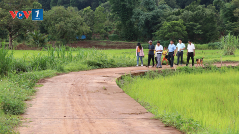 THỜI SỰ 18H CHIỀU 19/06/2024: Gia Lai vận động hàng nghìn người dân hiến đất để thực hiện các dự án giao thông