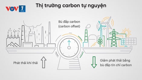 Xây dựng thị trường mua bán, trao đổi bù trừ tín chỉ carbon - yêu cầu đặt ra với Việt Nam (28/06/2024)