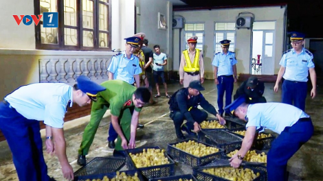 Giải pháp ngăn chăn nhập lậu động vật (11/06/2024)