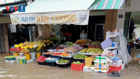 ĐBCSL: Giải pháp ứng phó với triều cường và mưa lớn (25/06/2024)
