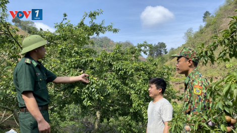 Màu áo quân hàm xanh trong bức tranh sắc màu biên giới Sơn La (15+16/06/2024)