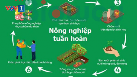 Tận dụng thời cơ về nông nghiệp tuần hoàn (20/06/2024)