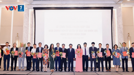 Hợp tác giữa Doanh nghiệp và Cơ sở đào tạo trong phát triển nguồn nhân lực Nông nghiệp chất lượng cao (18/06/2024)