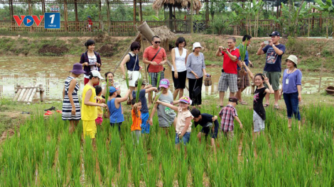 Thách thức và cơ hội phát triển du lịch nông nghiệp, nông thôn (24/06/2024)