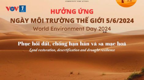 Ngày môi trường Thế giới 2024 (05/06/2024): Việt Nam với nỗi lo sa mạc hoá (05/06/2024)