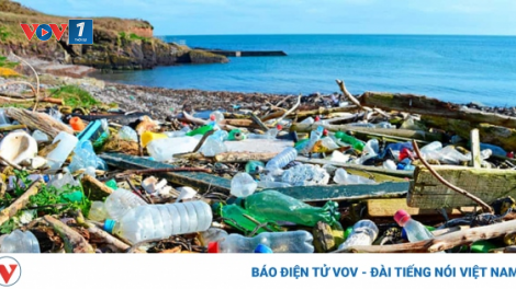 Bình Thuận: Du lịch giảm nhựa - du lịch bền vững