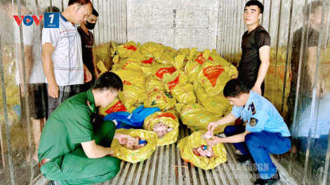 Tăng cường kiểm tra, ngăn chặn tình trạng buôn lậu, vận chuyển trái phép động vật, sản phẩm động vật qua biên giới vào Việt Nam (16/07/2024)