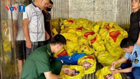 Vi phạm về kinh doanh thực phẩm không an toàn vẫn diễn biến phức tạp (23/07/2024)