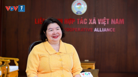 Luật Hợp tác xã 2023 là động lực phát triển với tổ chức kinh tế tập thể (15/07/2024)