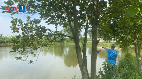 Nam Định: Chỉ thị 40 - Điểm tựa vững chắc cho người nghèo (08/07/2024)