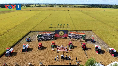 Mở lối cho khu vực kinh tế tập thể, Hợp tác xã bứt phá (25/07/2024)