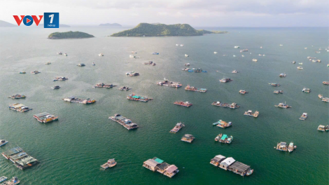 Kiên Giang: bàn giải pháp phát triển nuôi biển (20/08/2024)