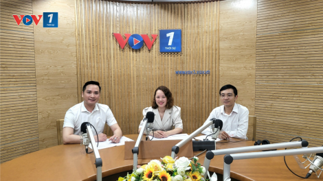 Doanh nghiệp khởi nghiệp và vấn đề quản lý dòng tiền (4/8/2024)