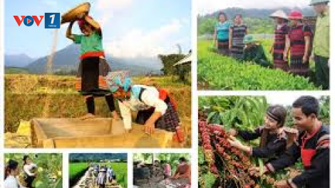 Đẩy nhanh tiến độ triển khia các chương trình mục tiêu quốc gia (20/08/2024)