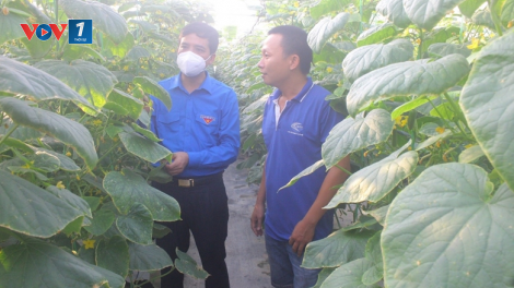 Bắc Ninh: Tổ chức đoàn đồng hành cùng thanh niên lập nghiệp