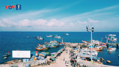 Phát triển kinh tế biển xanh và bền vững (26/08/2024)