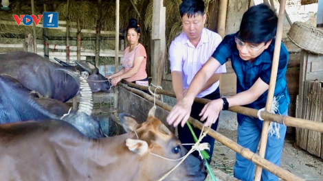 Nguồn vốn tín dụng chính sách xã hội giúp người dân vươn lên thoát nghèo bền vững (05/08/2024)