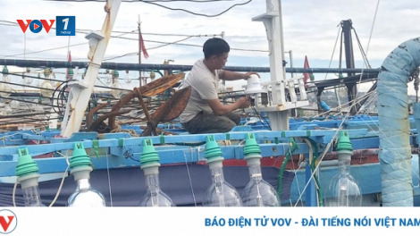 Hải Phòng: Đẩy mạnh chống khai thác IUU, góp phần phát triển thủy sản bền vững (17/09/2024)